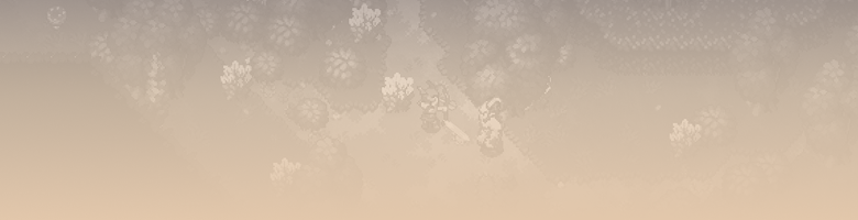 Promotional Banner